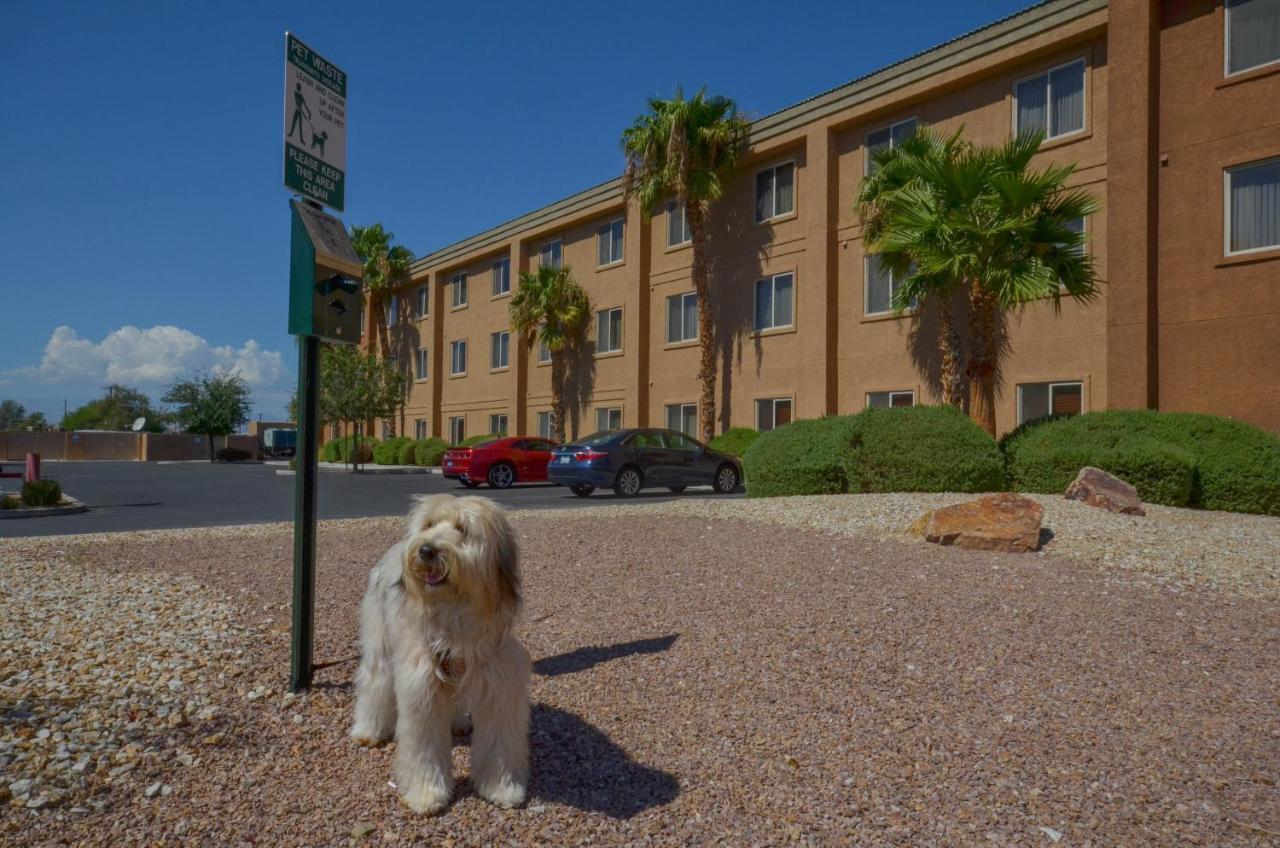 Holiday Inn Express Las Vegas-Nellis By Ihg Εξωτερικό φωτογραφία